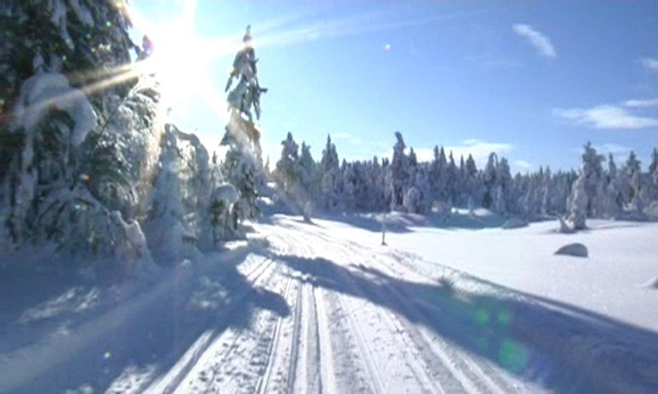 Skitur til Kikut